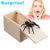 SCARE BOX SPIDER PRANK-Prankler